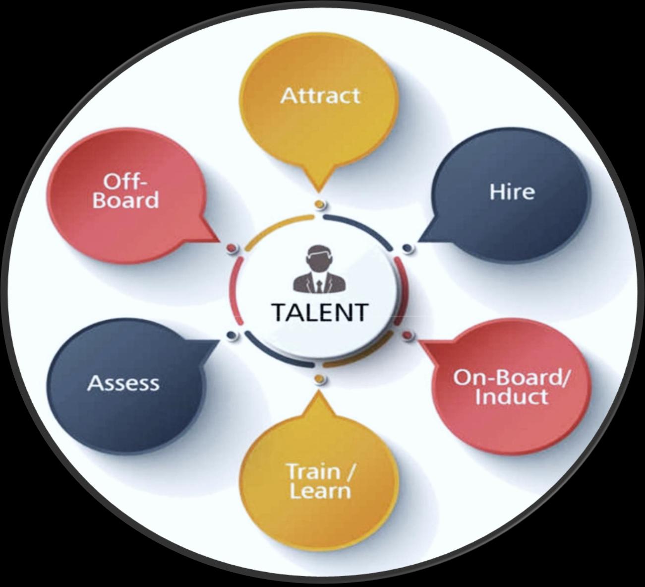 Talent lifecycle - attract, hire, onboard, train, assess, off-board